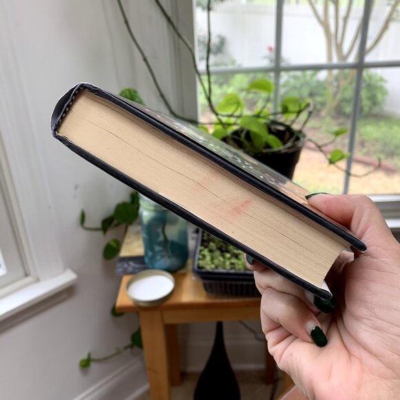 4pc YA Fantasy Mystical Novels Bundle Set - Picture 6 of 12